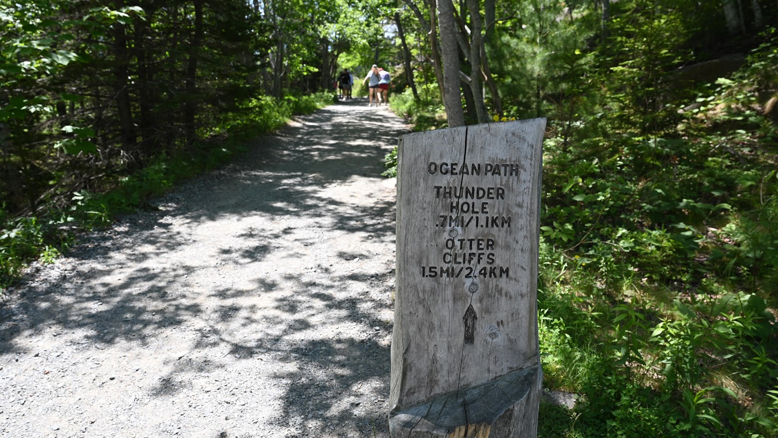 Wooden sign 
