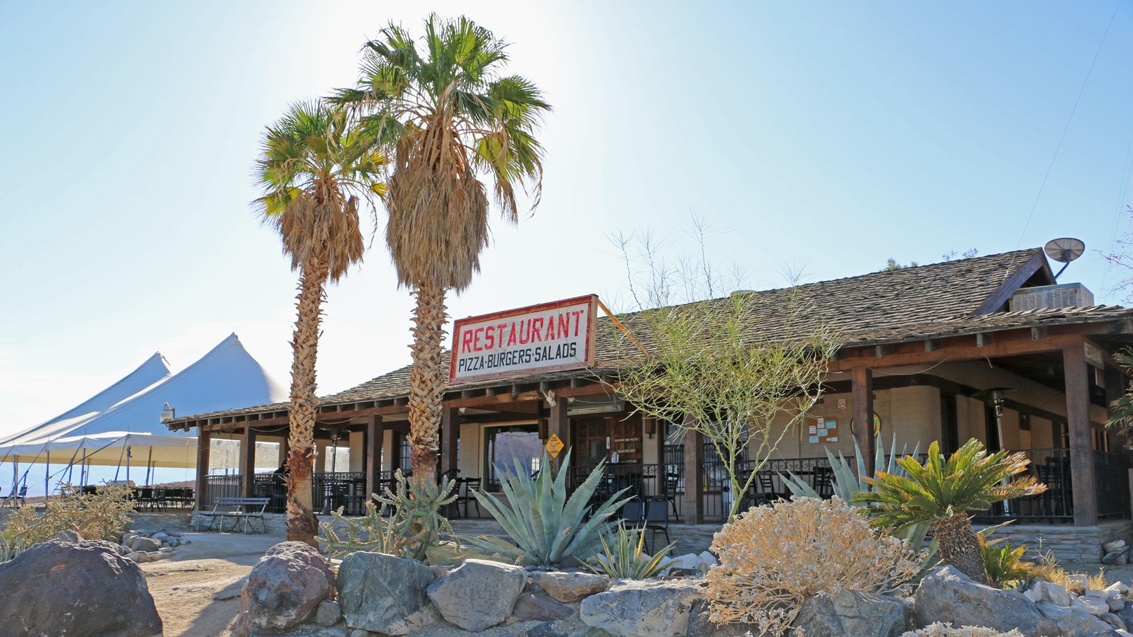 a one story restaurant building with desert plants landscaped around and two palm trees
