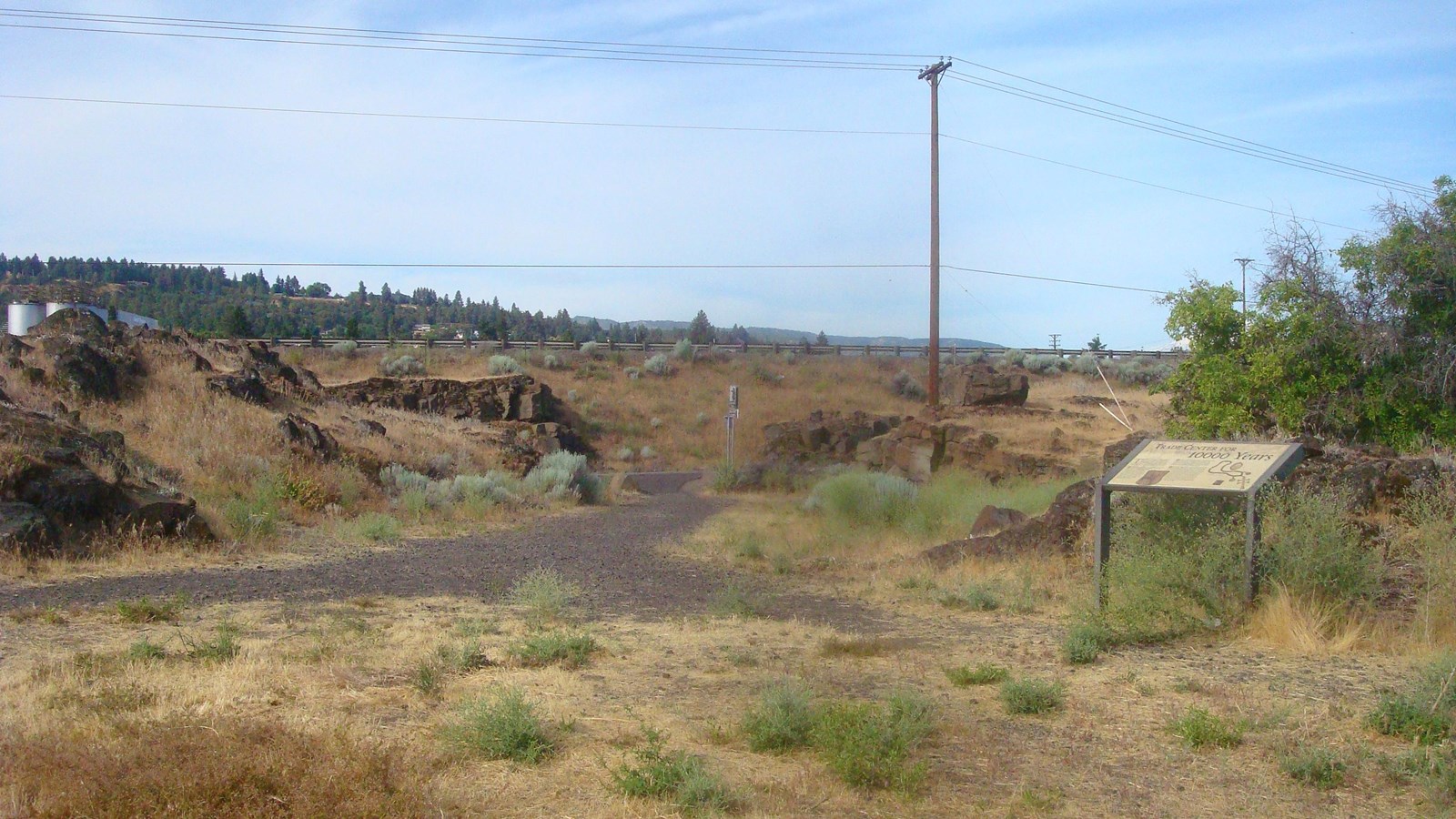 Large open sparsely vegetated area with some large rocks