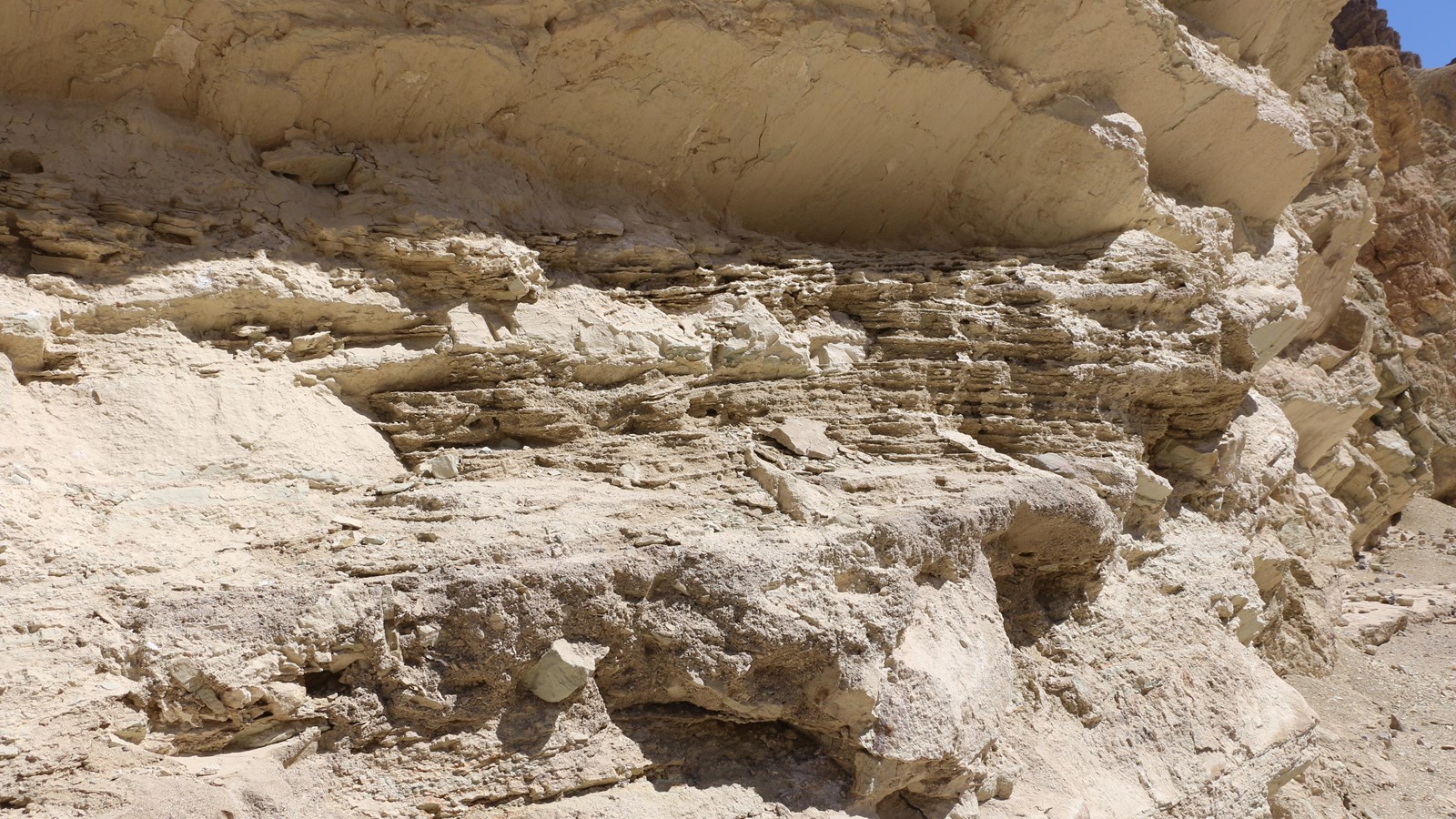 Layers of brown horizontal mud cracks coat a rocky canyon wall.