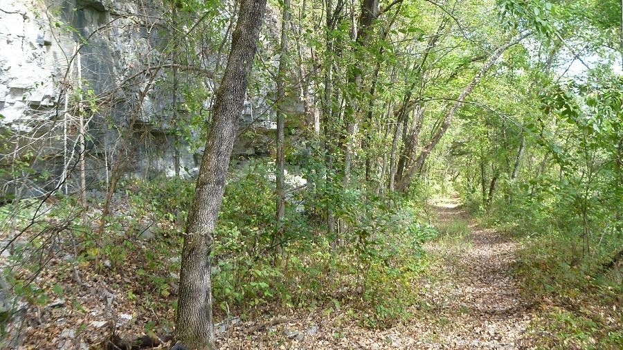dirt path through forest with gray rock at left