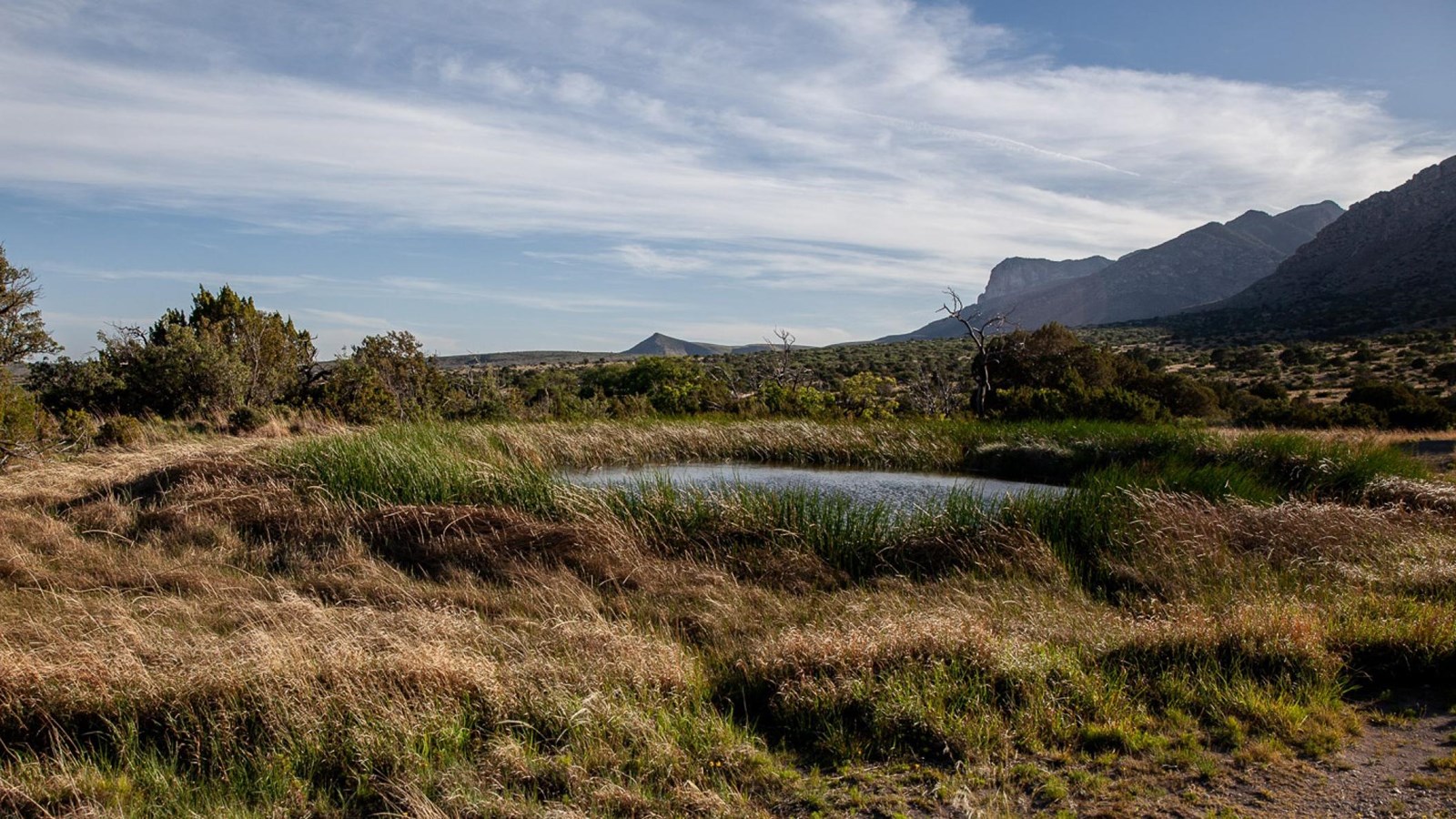 A small desert spring pool is in the foreground; behind it rise desert mountains. 