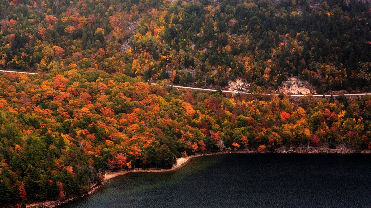 A road goes through brightly colored leaves around a mountain above a lake.