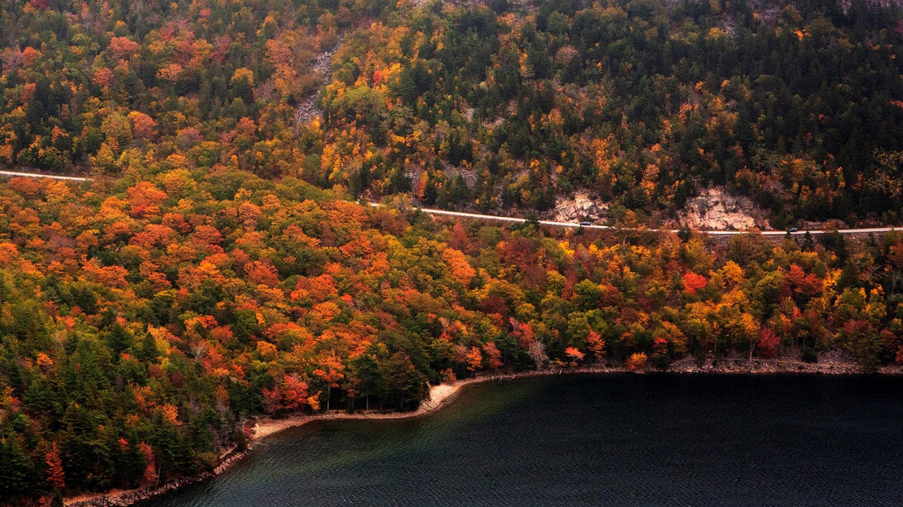 A road goes through brightly colored leaves around a mountain above a lake.