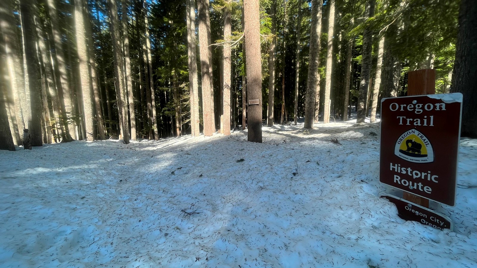 A forest of conifer trees covered in snow. A brown sign on the right for the Oregon Trail.
