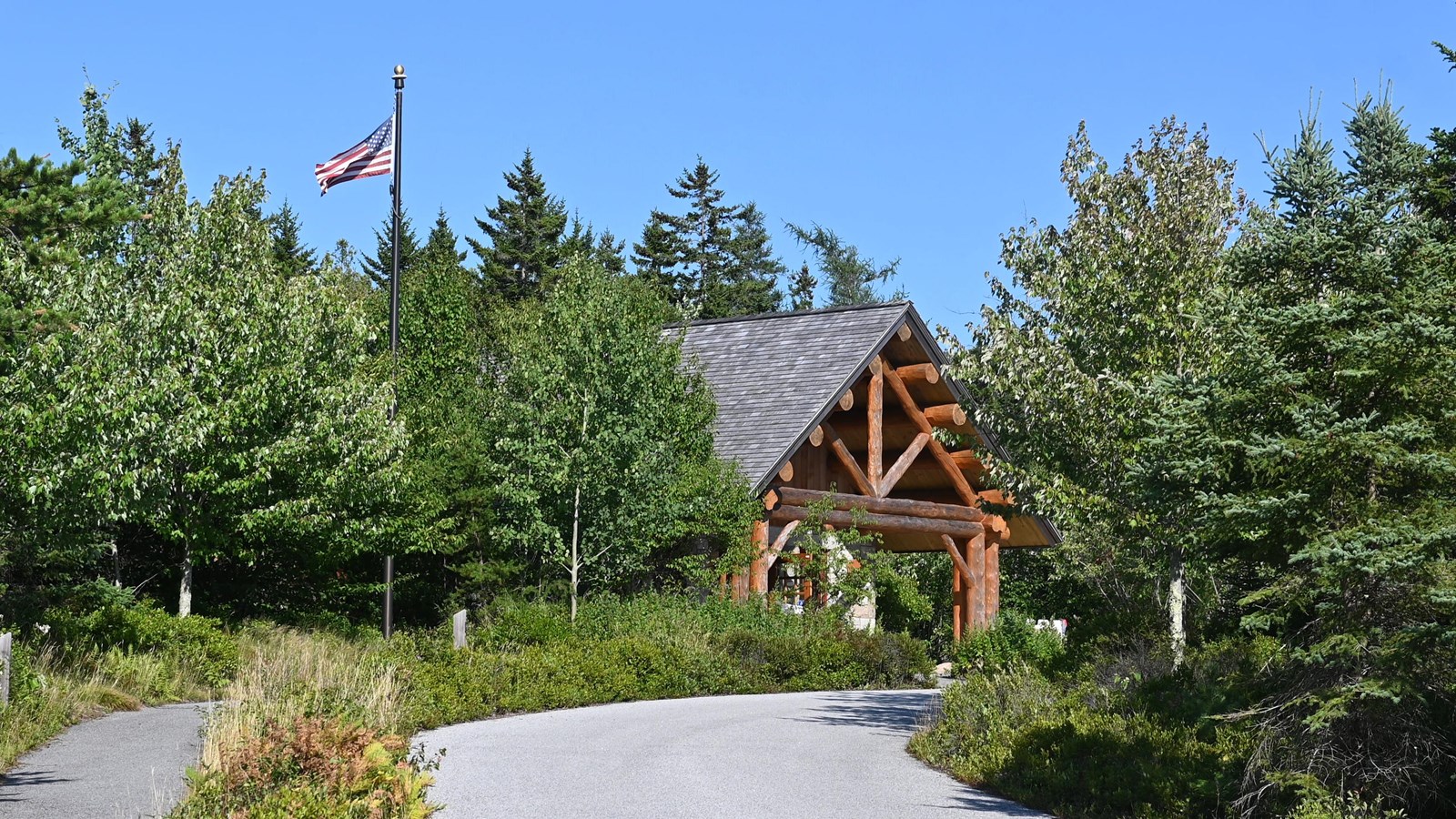 A wooden ranger station tucked away in trees with the American Flag flying next to it.