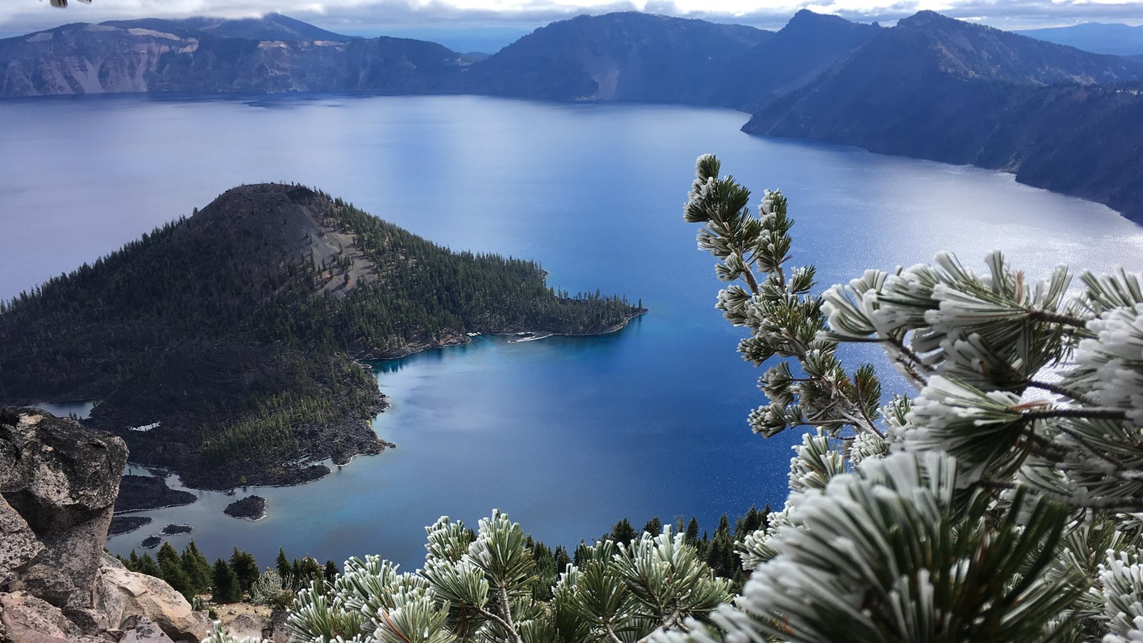 conifer tree needles holding snow and clouds above frame Crater Lake and Wizard Island