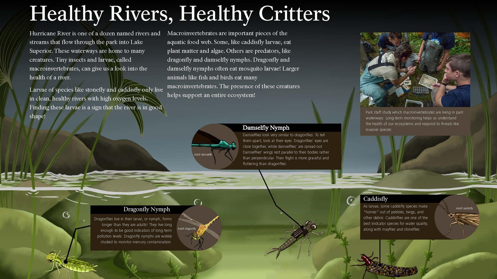 A wayside describing the ecology of the Hurricane River and the invertebrates that call it home
