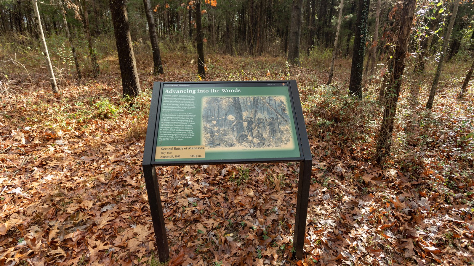 A drawing of soldiers firing from behind trees and tree trunks is displayed on a green background.