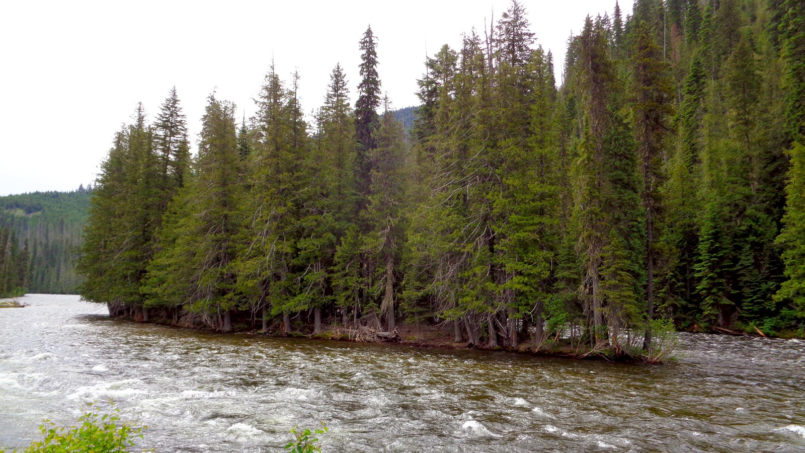 Fast moving river with island in the middle