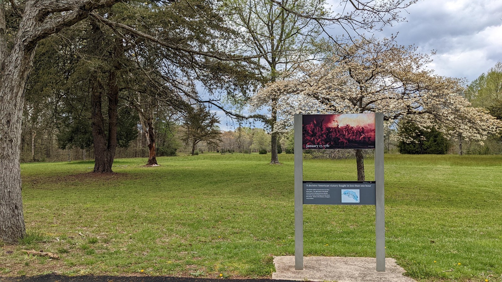 Way side in front of a in bloom flowering dogwood.