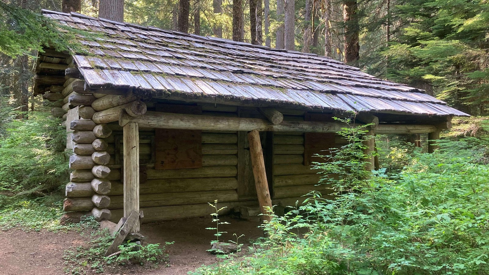 Log cabin surrounded by trees