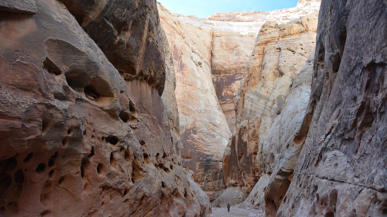 A person stands in a sandy wash in a deep cream colored sandstone canyon.