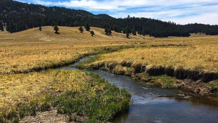 A creek meandering through a grassland valley.