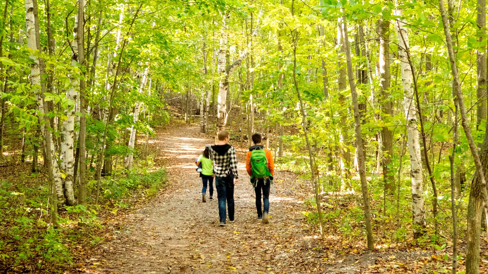 Hikers on the wide trail through early spring-green trees