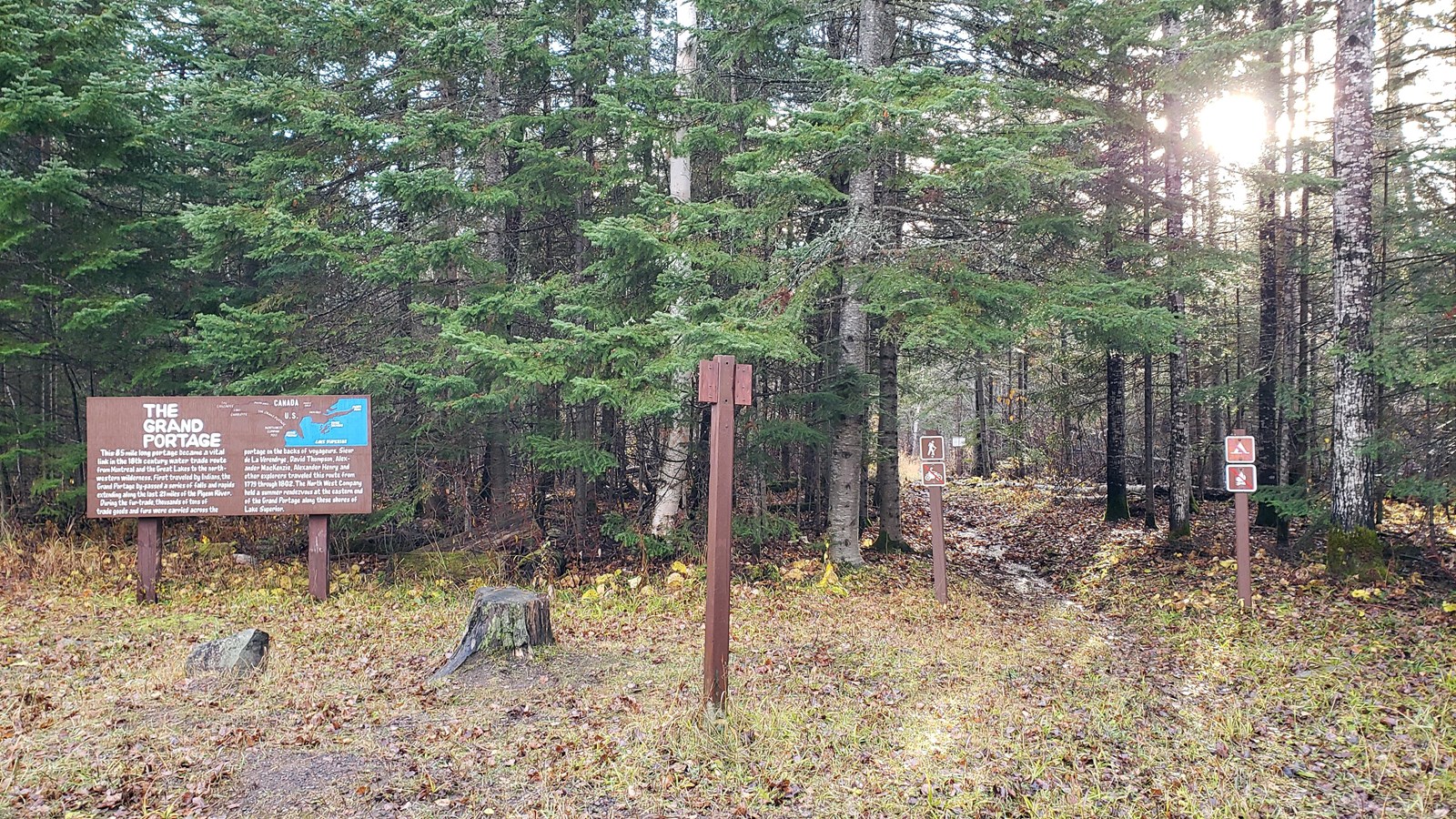A forested area, partially cleared for parking.