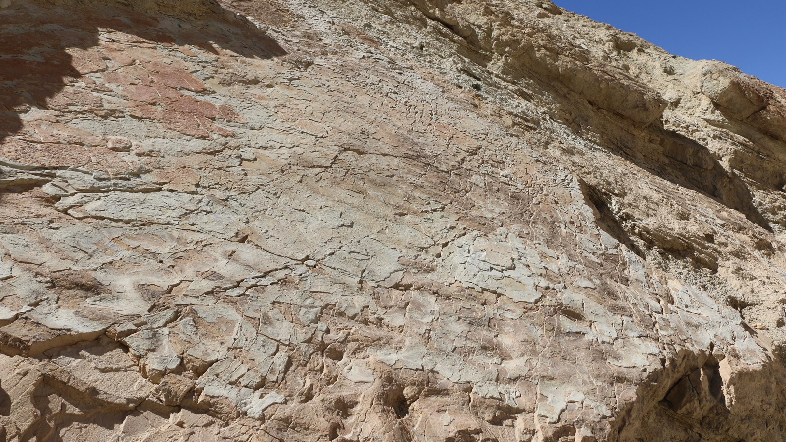 Rock wall with wavy rock ripples formed by ancient water.