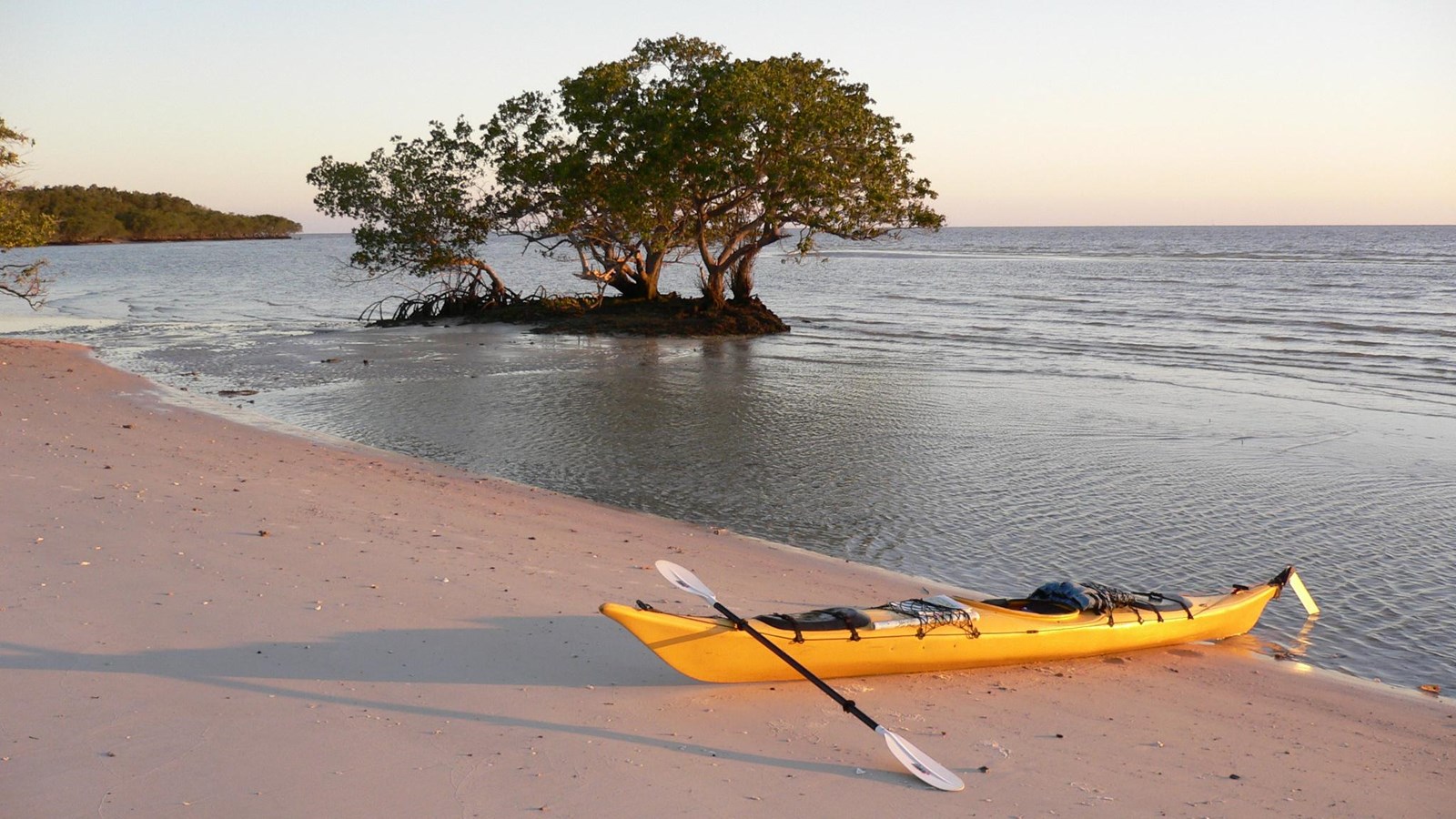 A yellow kayak sits on pink/white sand with calm waters. Green Mangrove trees emerge from water