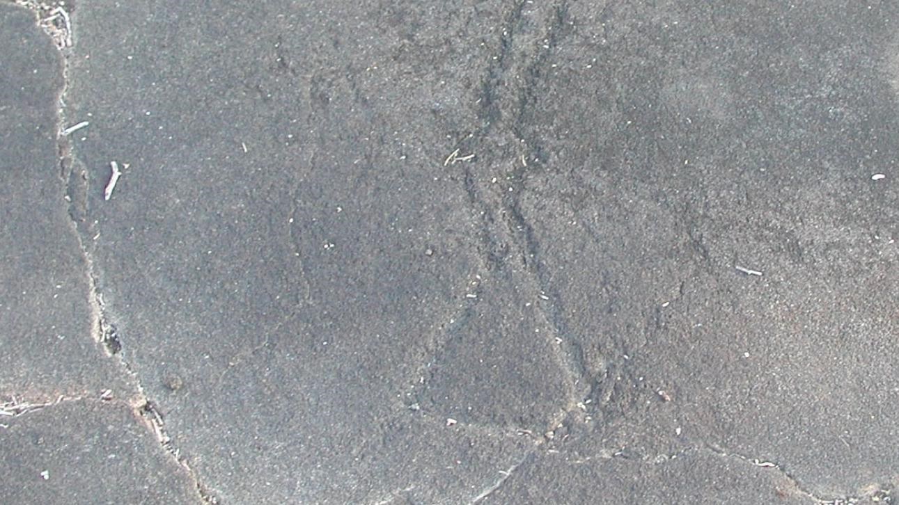 Images carved on lava