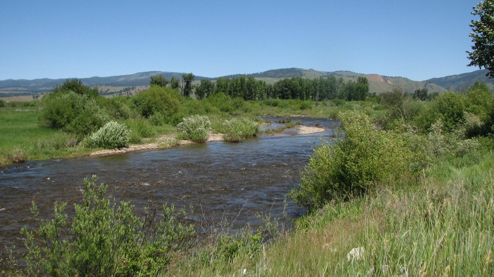 Fast flowing swallow river