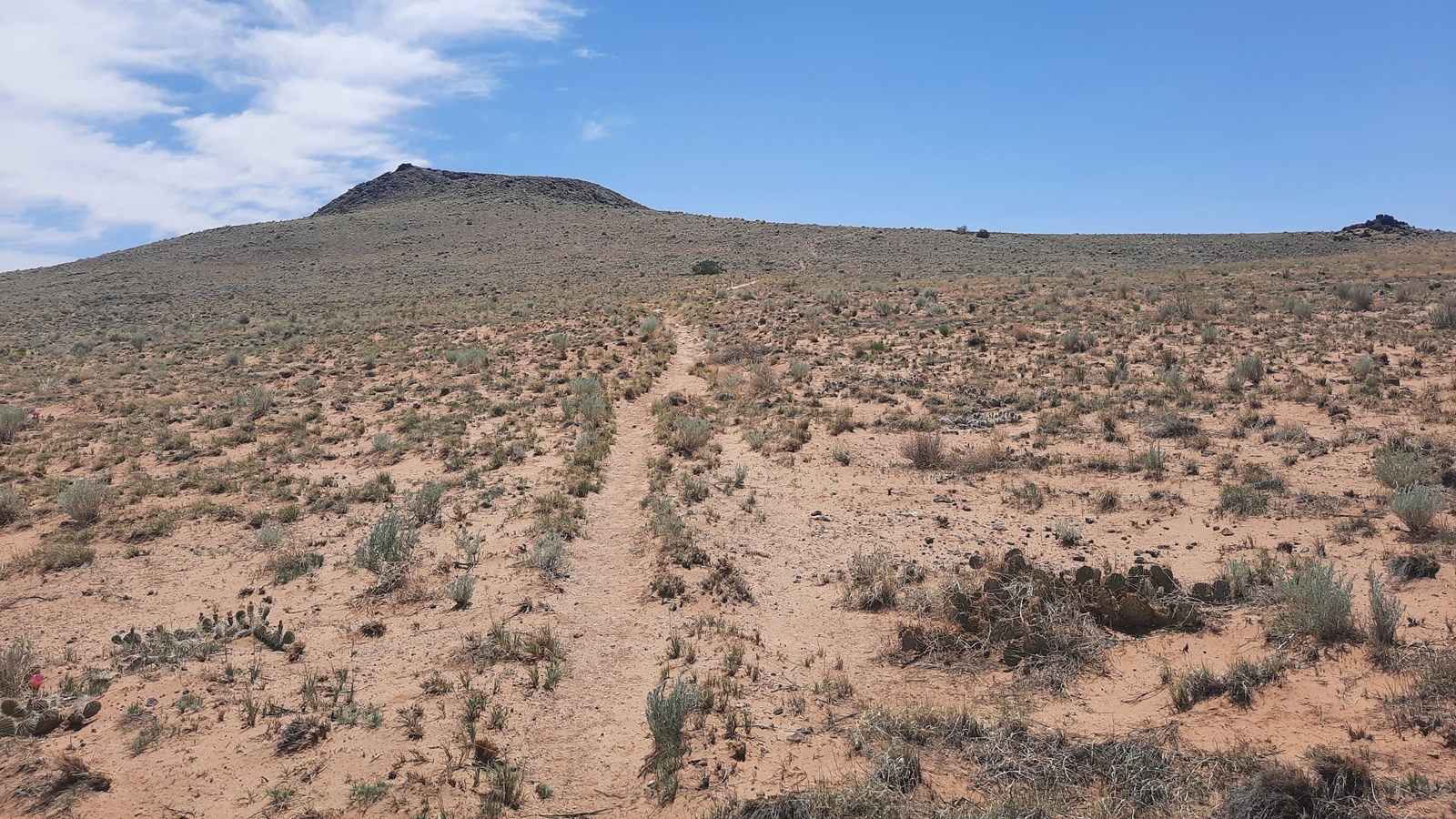 A trail going through an arid landscape with volcanoes in the distance.