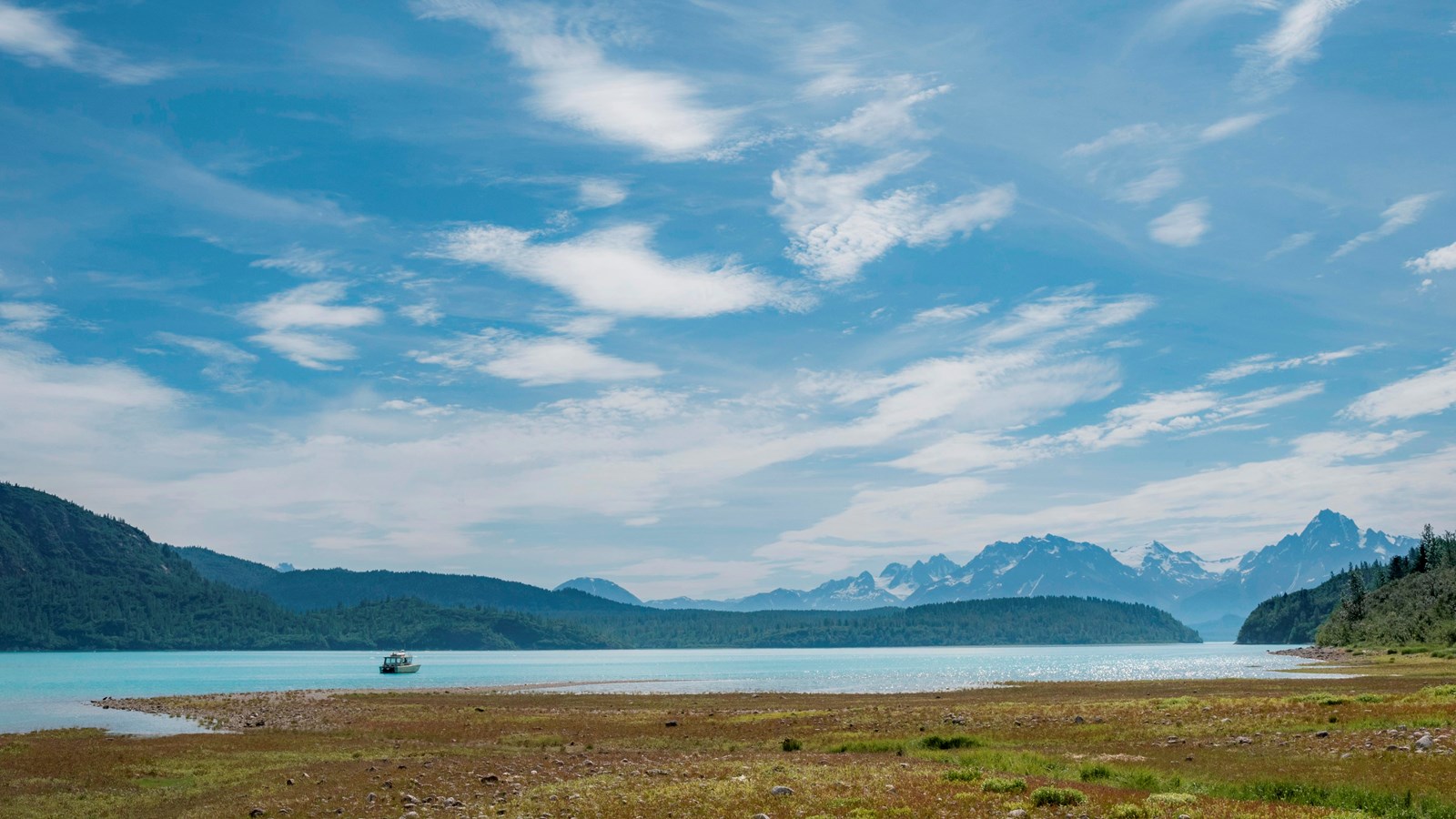 Green mountains and hills surround the glaciers, valleys, and coves of Muir Inlet.