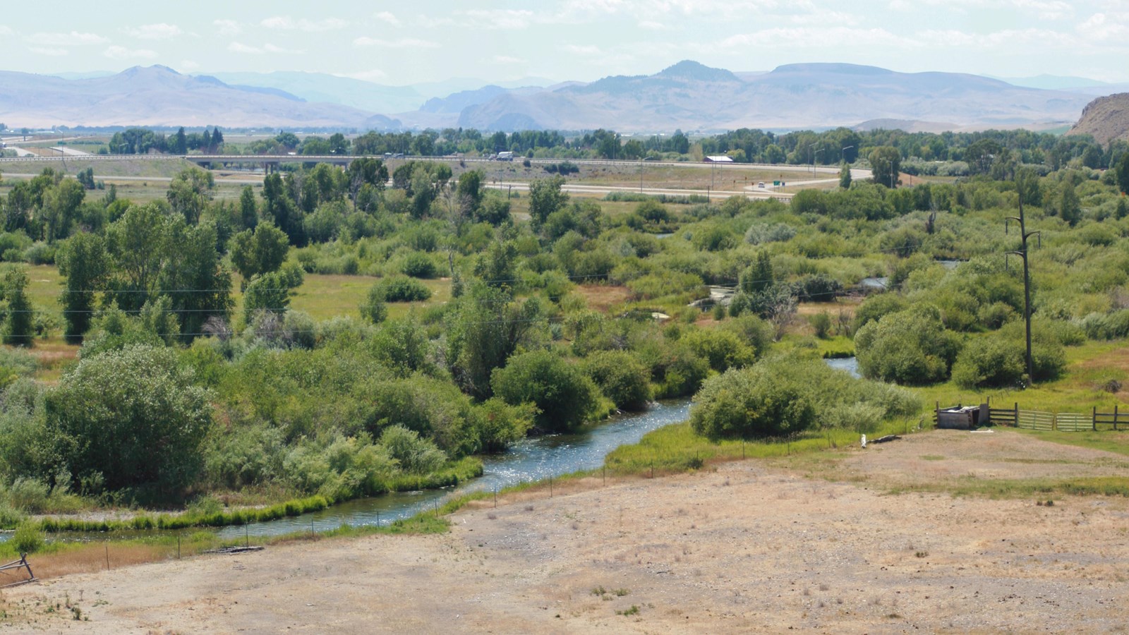 Small river winding through small trees and bushes