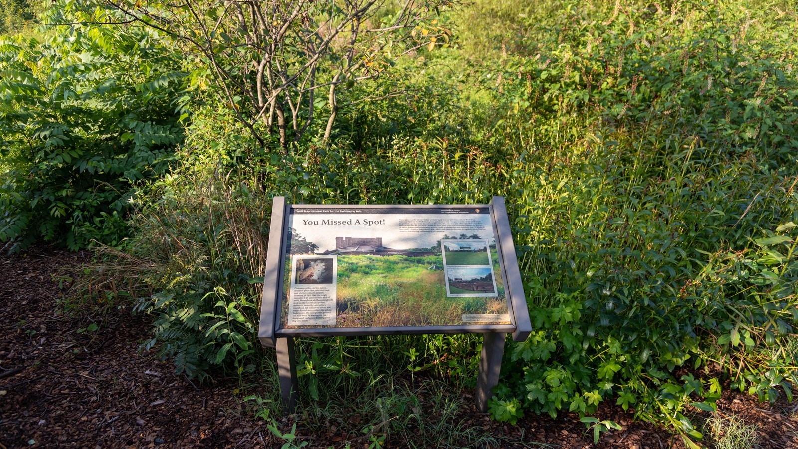 information panel found in dimple meadow garden