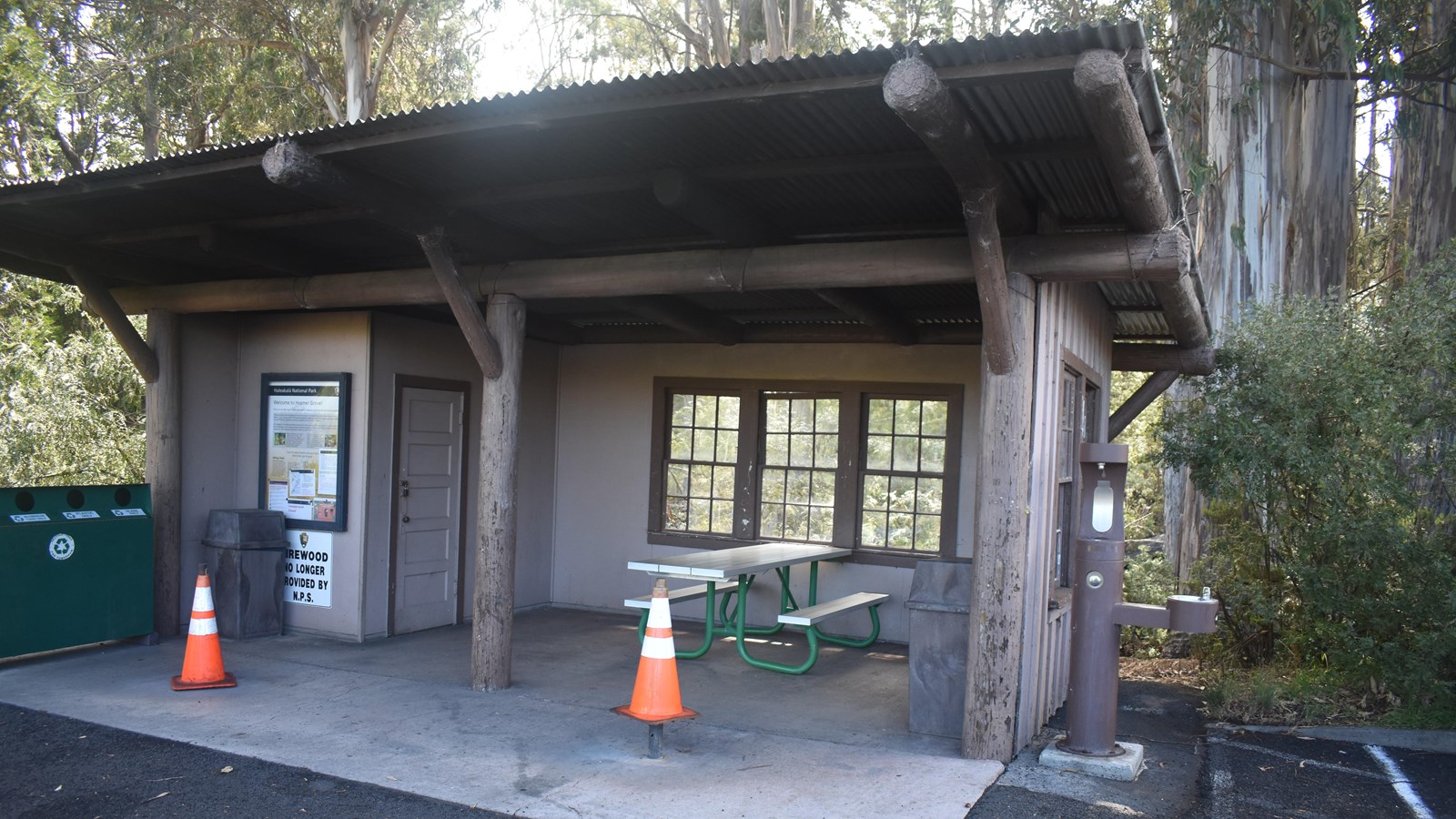 A three-walled shelter houses one picnic table among tall pine trees.