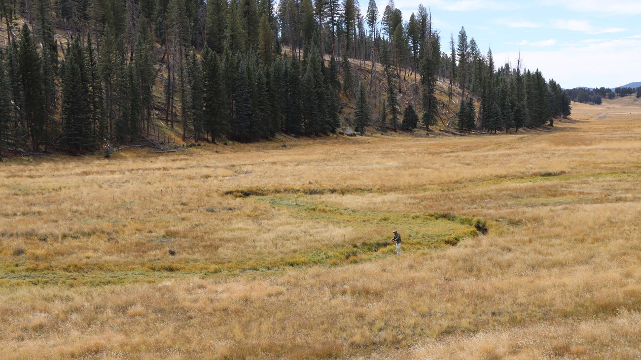 A distant angler flyfishes a narrow stream meandering through a montane grassland.