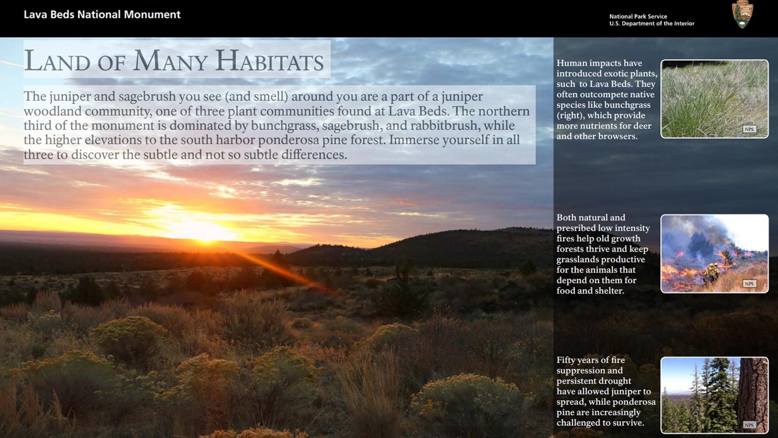Land of Many Habitats