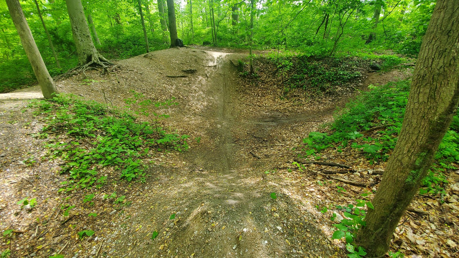 An open pit, approximately 10 feet deep, with gentle sloping sides, surrounded by green woods.