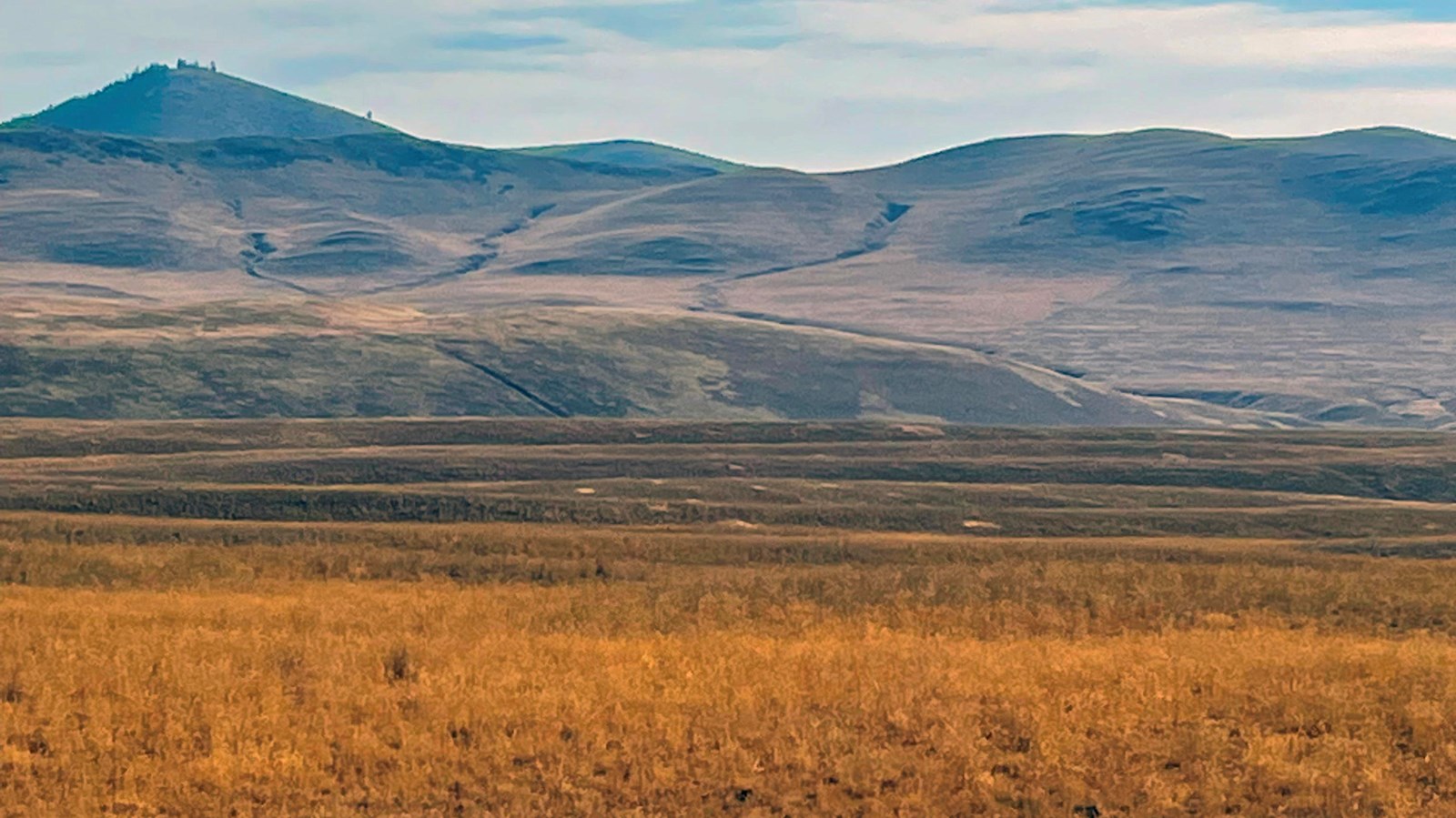 Rolling hills covered in brown grass with mountains in the background