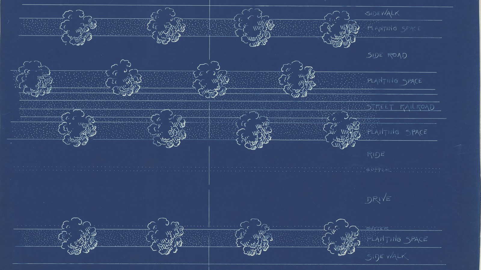 Blueprint of trees in a line
