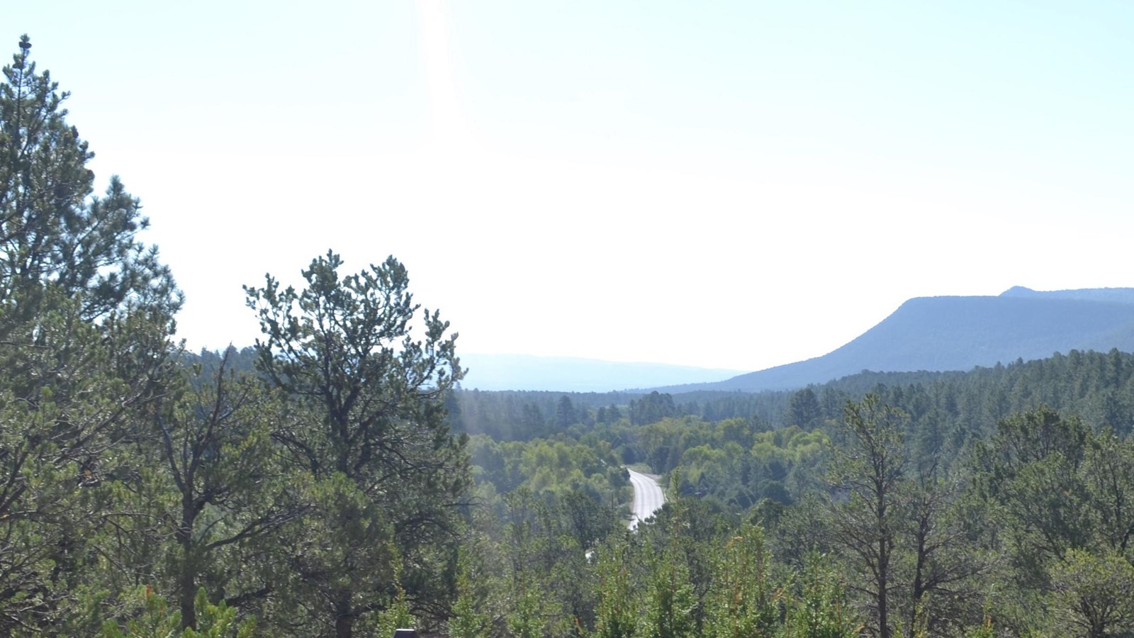 Trees, Forest, Road, Ranch, Battlefield