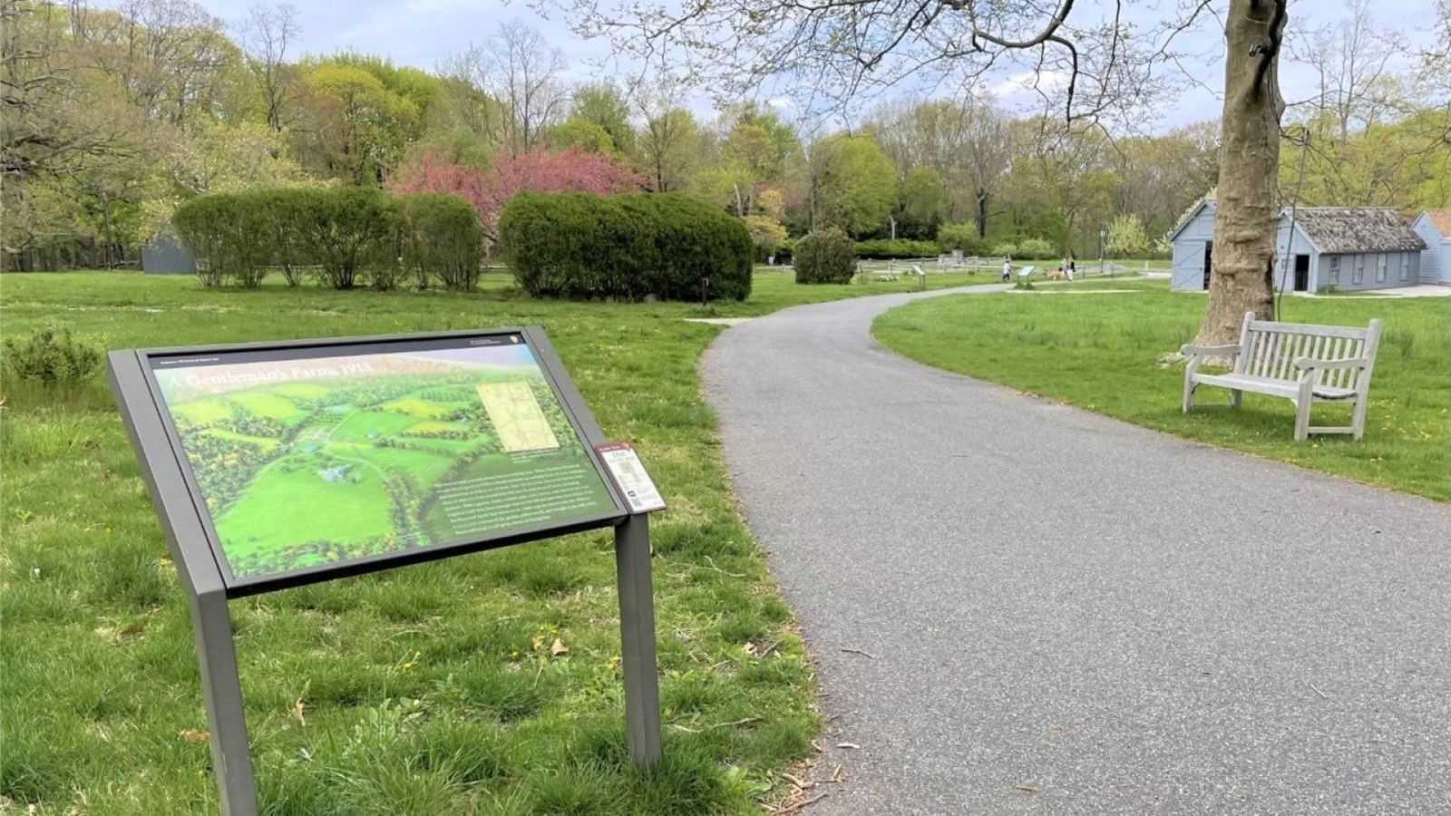 An illustrated exhibit sign on a paved path with plants and buildings in the background.