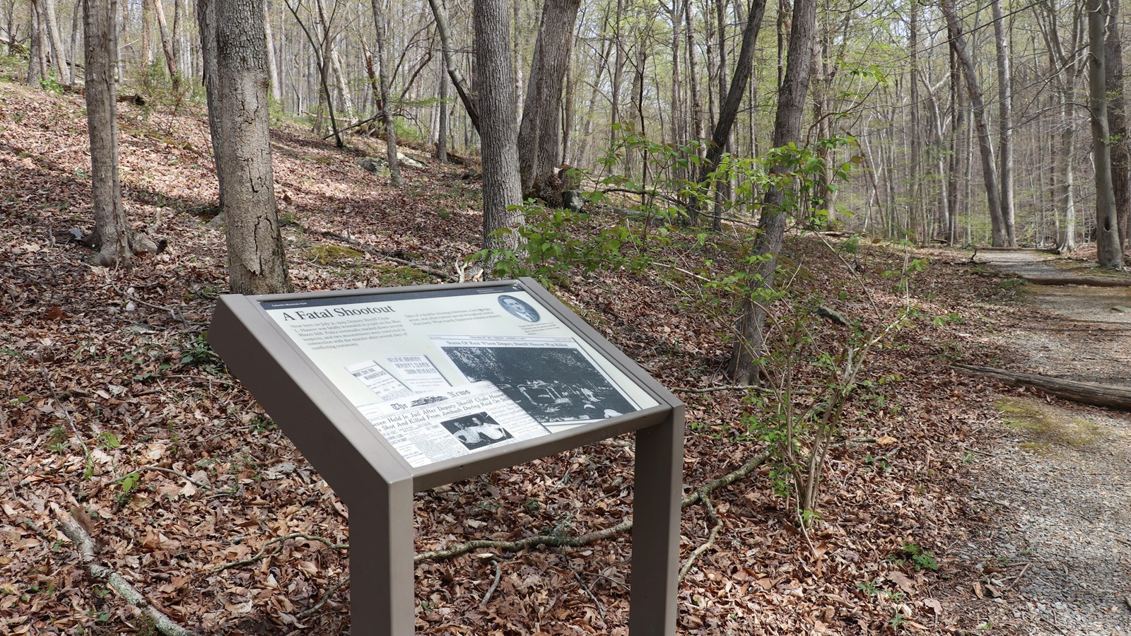 A black and white wayside panel along a forested trail, describing historical events of a police rai