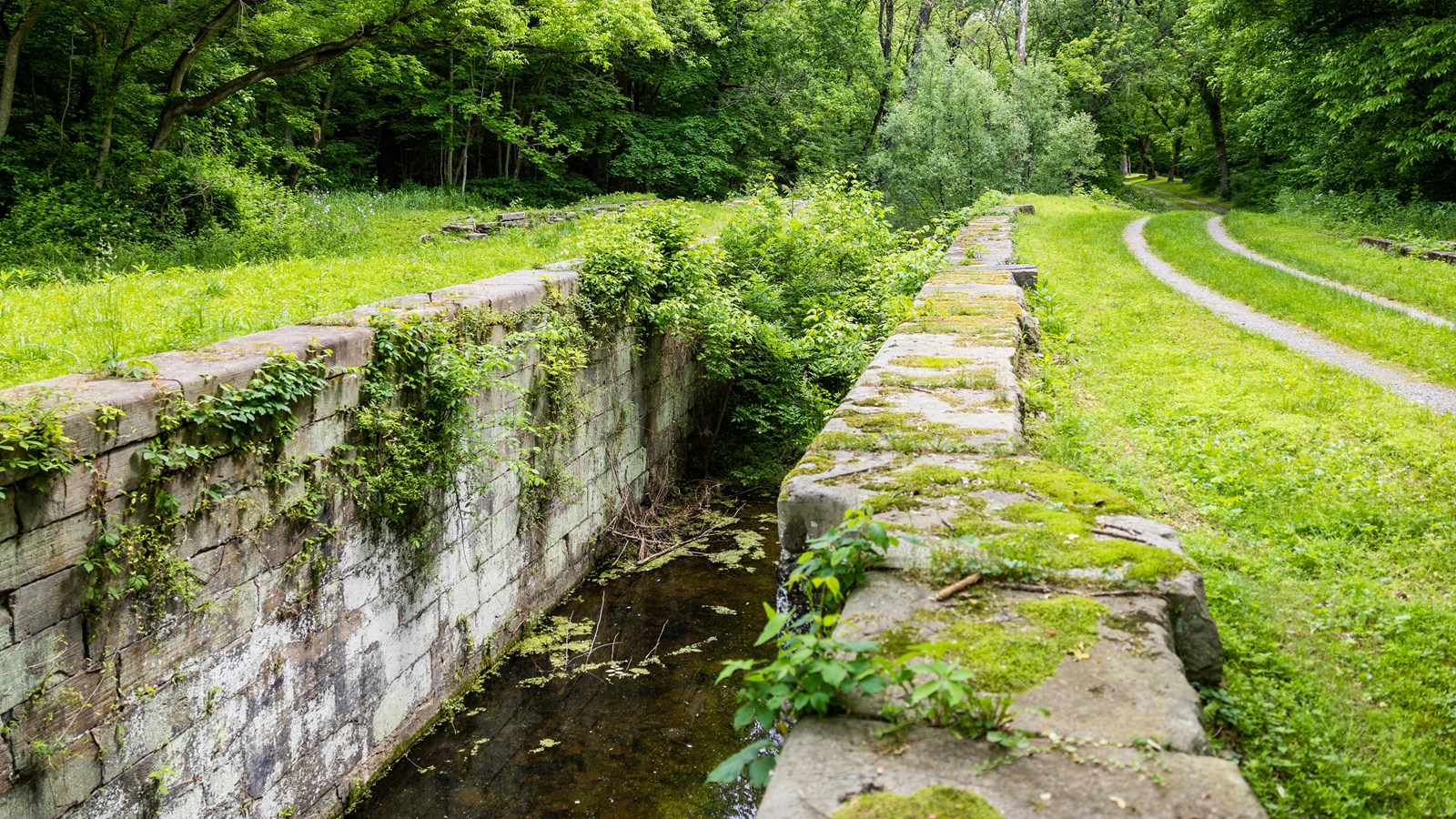 An historic stone lock overgrown with vegetation
