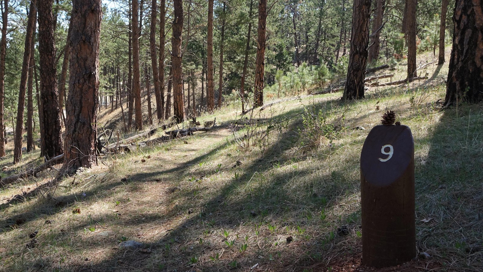 Post #9 Happy Trails