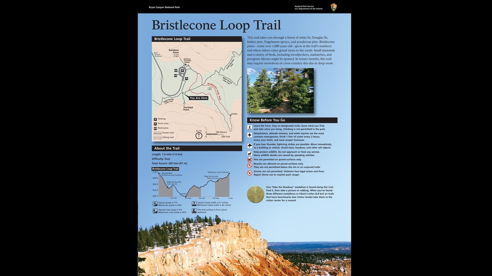 Wayside exhibit providing orientation to the Bristlecone Loop Trail.