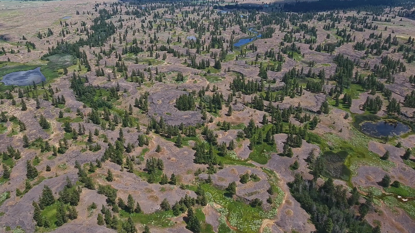 Telford Recreation Area