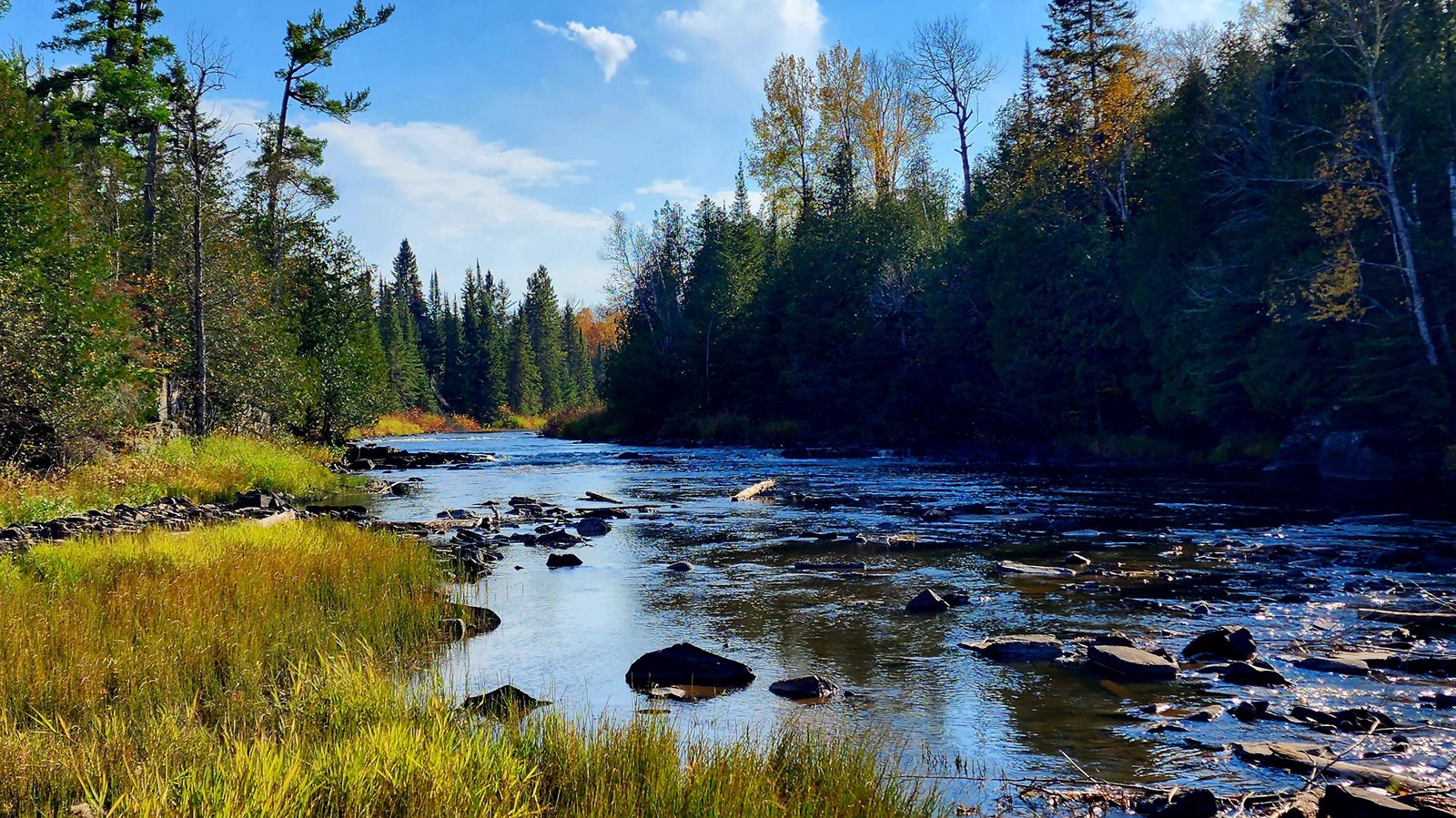 A calm river with rocks, flowing through dense forest.