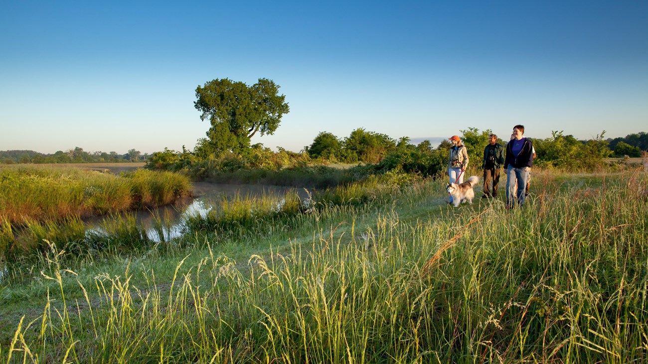 A grassy view with a small group and a dog walking a trail.