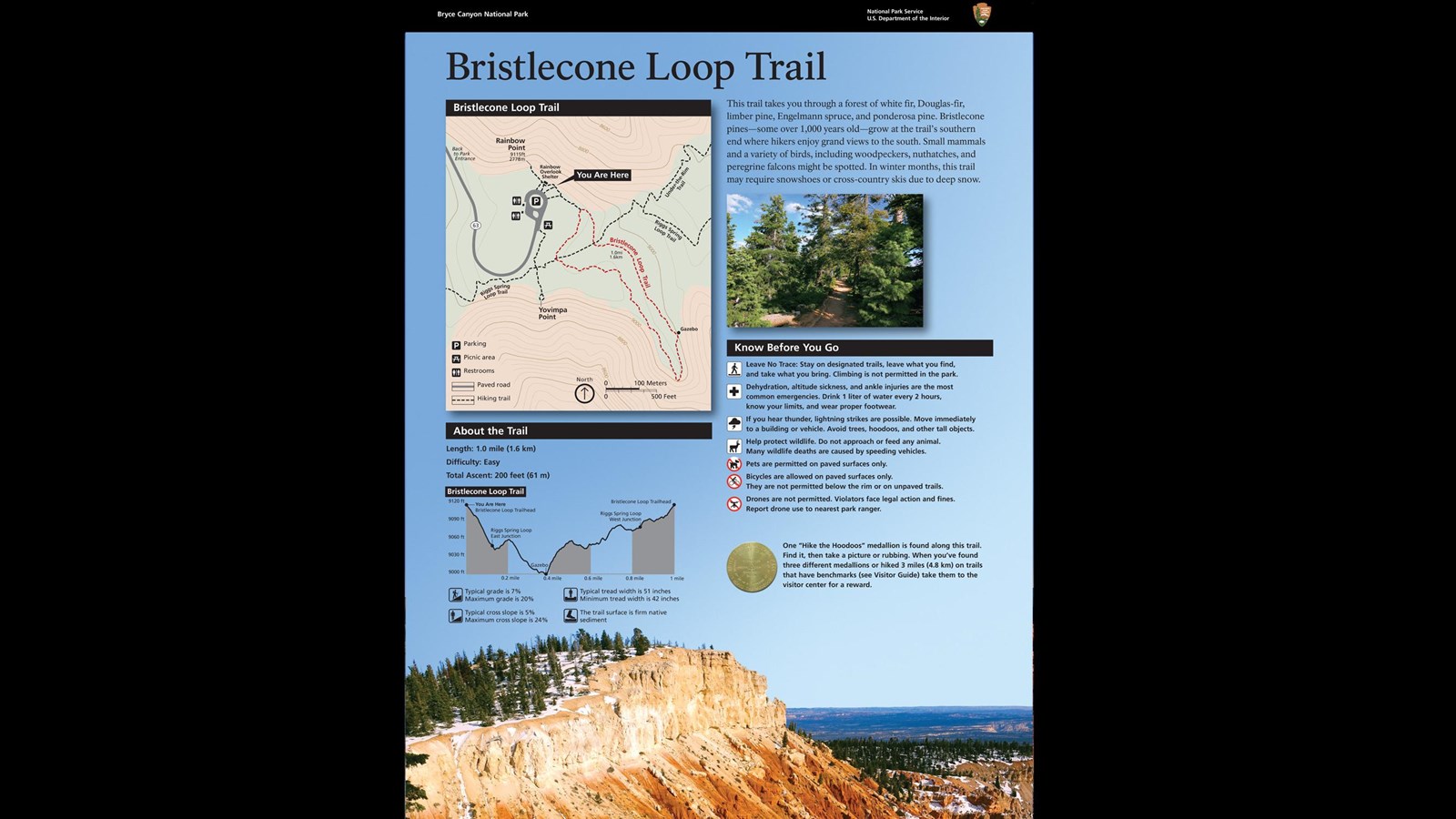 Wayside exhibit providing orientation to the Bristlecone Loop Trail.
