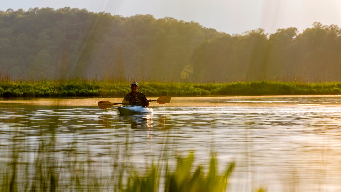 A person kayaking on a calm body of water during morning light, surrounded by lush greenery.