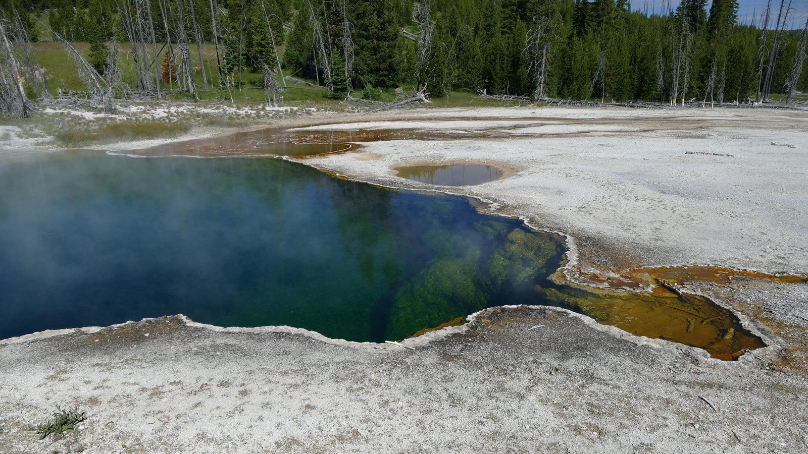 A deep, emerald green colored hot spring.