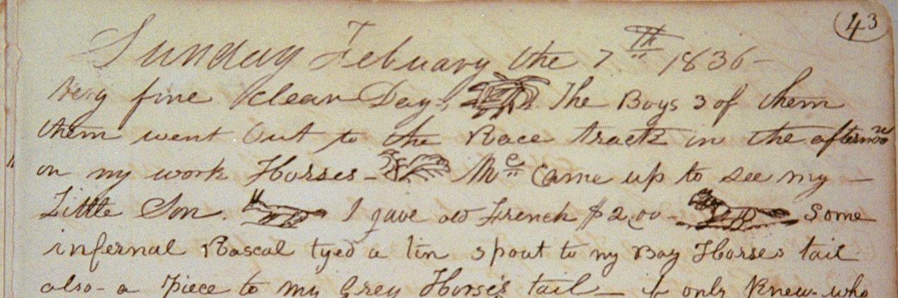 William Johnson\'s Diary