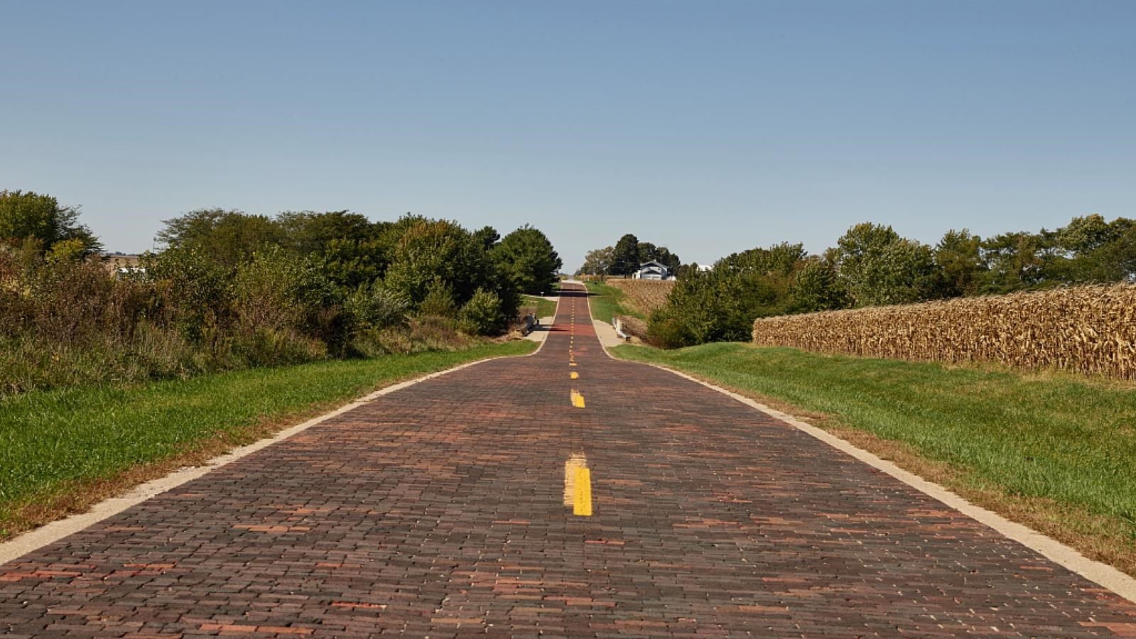 A red brick road winds through a green field with evergreen trees in the distance.