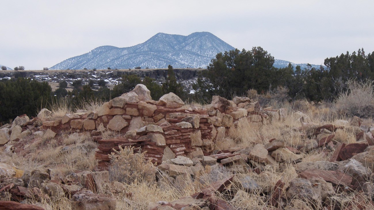 The remnants of a tan stone pueblo structure surrounded by yellow grasses and juniper trees.