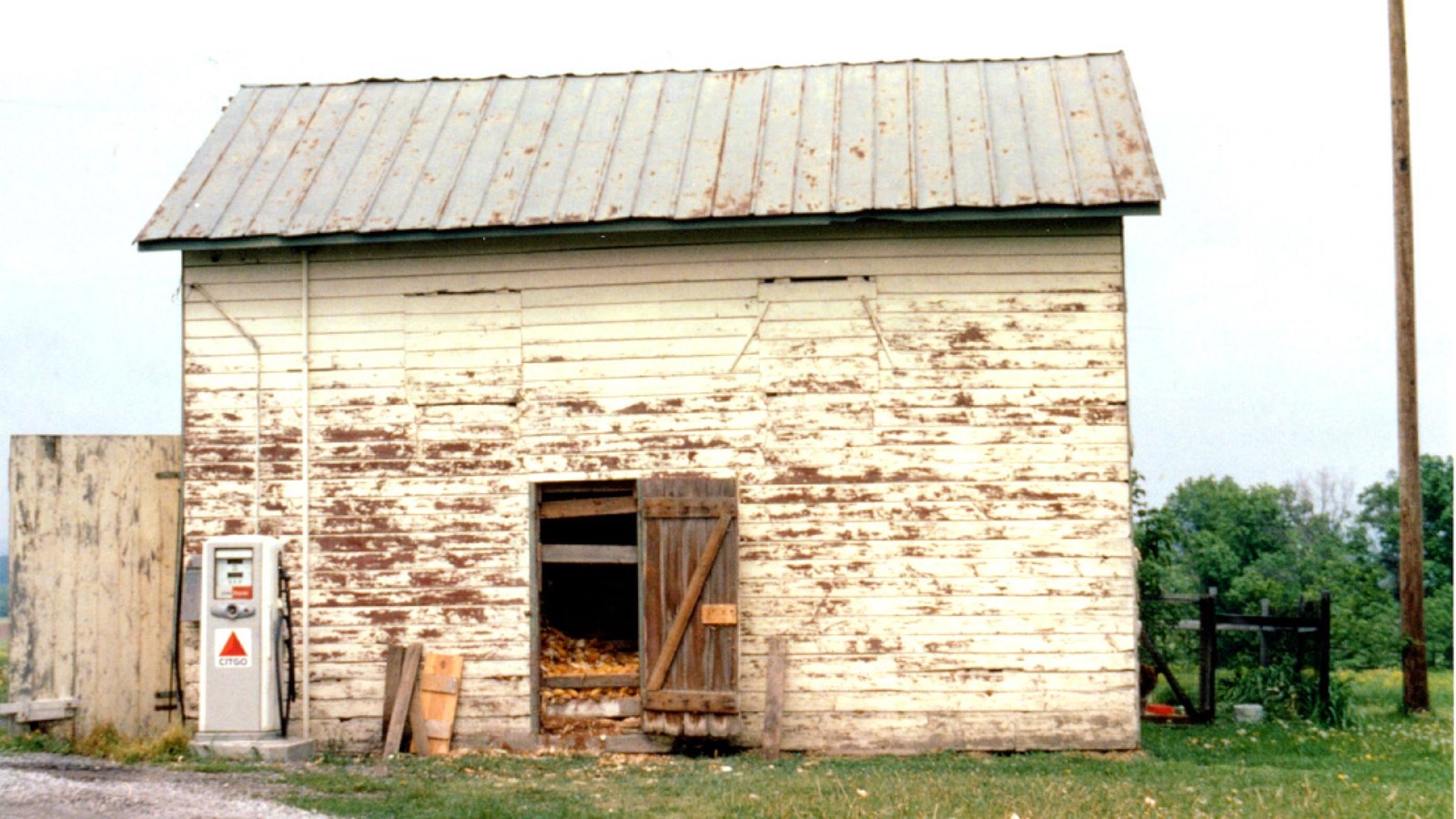 Side view of a cream colored, 1 1/2 story, wood building with flaking paint; open door reveals corn.
